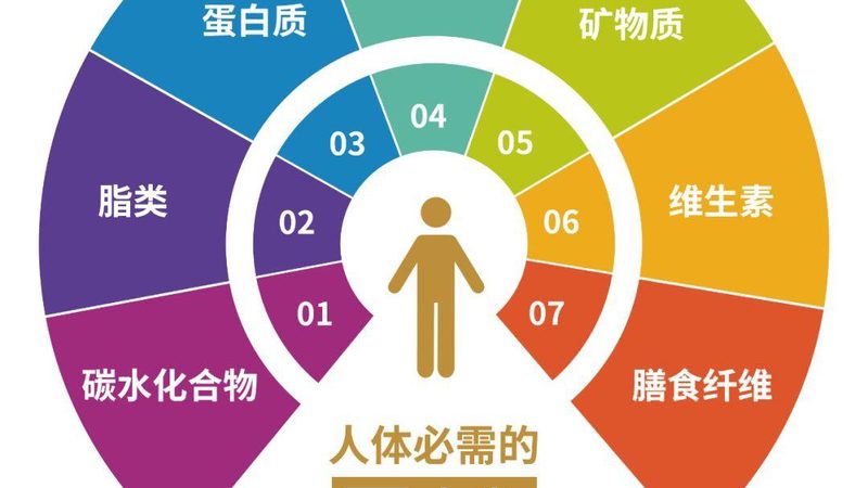 运动营养保健食品：揭秘其优缺点**